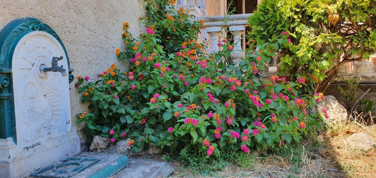 La Casa De Margarita Y Sisco, Villa Avec Piscine Carcassonne Eksteriør bilde